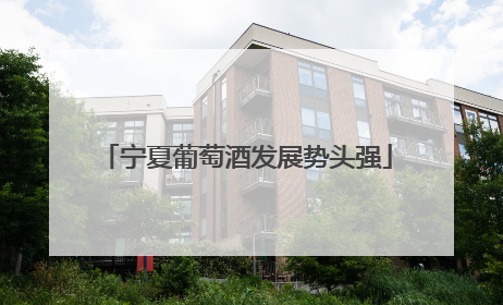 宁夏葡萄酒发展势头强