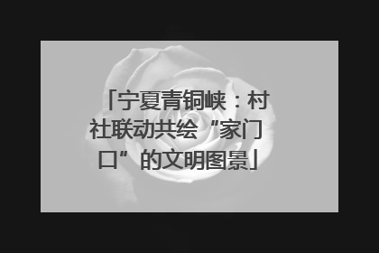 宁夏青铜峡：村社联动共绘“家门口”的文明图景