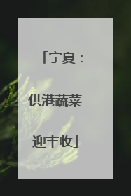 宁夏：供港蔬菜迎丰收