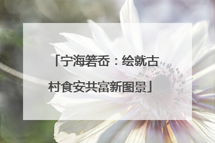 宁海箬岙：绘就古村食安共富新图景