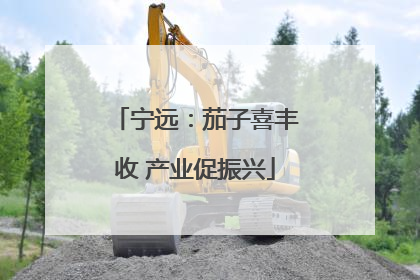 宁远：茄子喜丰收 产业促振兴