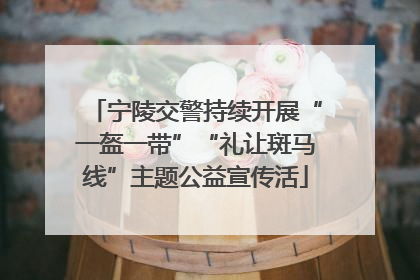 宁陵交警持续开展“一盔一带”“礼让斑马线”主题公益宣传活