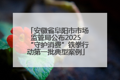 安徽省阜阳市市场监管局公布2025“守护消费”铁拳行动第一批典型案例