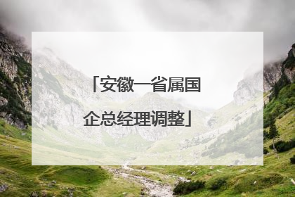 安徽一省属国企总经理调整