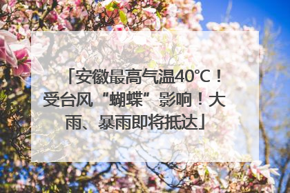 安徽最高气温40℃！受台风“蝴蝶”影响！大雨、暴雨即将抵达