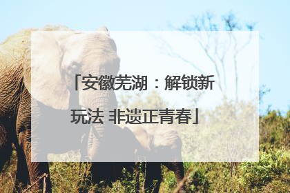 安徽芜湖：解锁新玩法 非遗正青春