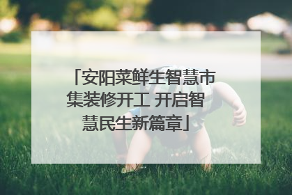 安阳菜鲜生智慧市集装修开工 开启智慧民生新篇章