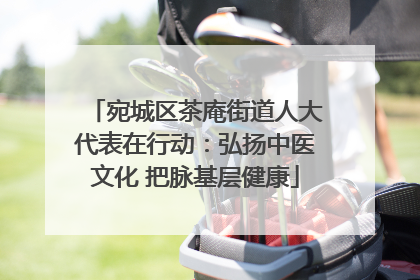 宛城区茶庵街道人大代表在行动：弘扬中医文化 把脉基层健康