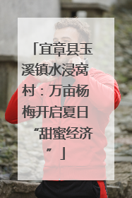 宜章县玉溪镇水浸窝村：万亩杨梅开启夏日“甜蜜经济”