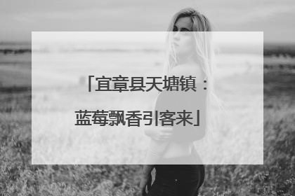 宜章县天塘镇：蓝莓飘香引客来