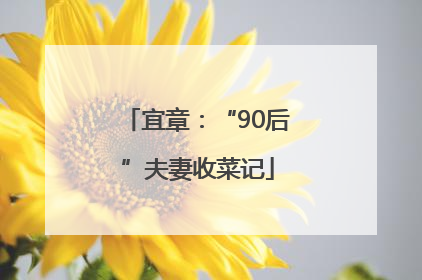 宜章：“90后”夫妻收菜记