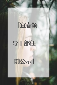 宜春领导干部任前公示