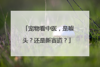 宠物看中医，是噱头？还是新赛道？