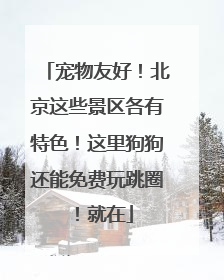 宠物友好！北京这些景区各有特色！这里狗狗还能免费玩跳圈！就在
