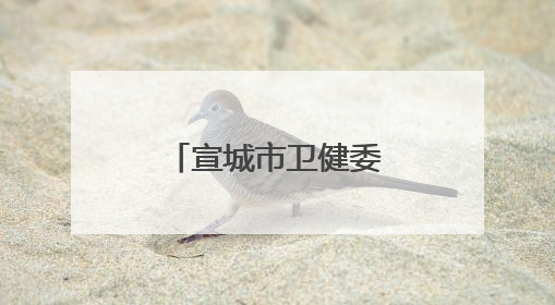 宣城市卫健委组织专业团队护航中高考
