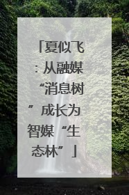 夏似飞：从融媒“消息树”成长为智媒“生态林”