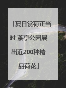 夏日赏荷正当时 茶亭公园展出近200种精品荷花