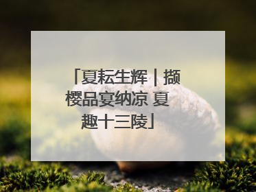 夏耘生辉｜撷樱品宴纳凉 夏趣十三陵