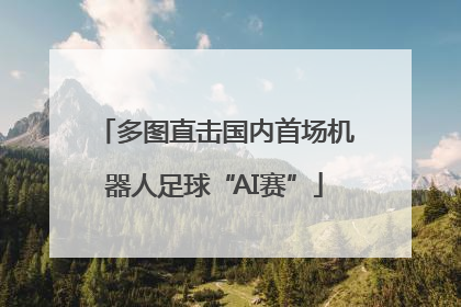 多图直击国内首场机器人足球“AI赛”