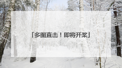 多图直击！即将开桨