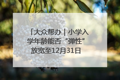大众帮办｜小学入学年龄能否“弹性”放宽至12月31日？有地方已在探索