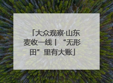 大众观察·山东麦收一线丨“无形田”里有大账