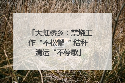 大虹桥乡：禁烧工作“不松懈“ 秸秆清运“不停歇