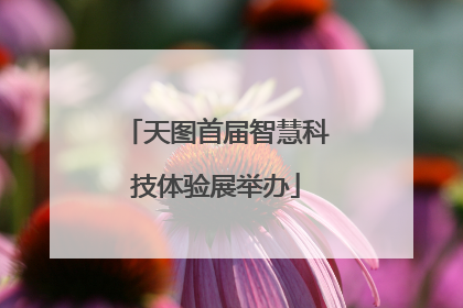 天图首届智慧科技体验展举办