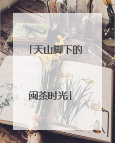 天山脚下的闽茶时光