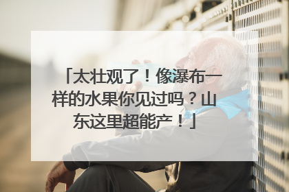 太壮观了！像瀑布一样的水果你见过吗？山东这里超能产！