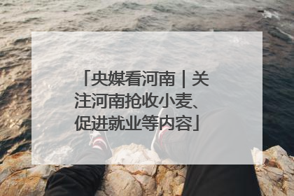 央媒看河南｜关注河南抢收小麦、促进就业等内容