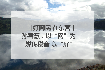 好网民·在东营｜孙雪慧：以“网”为媒传税音 以“屏”为介助发展