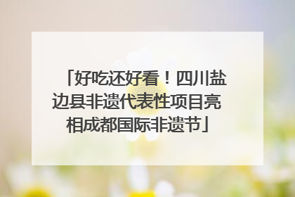 好吃还好看！四川盐边县非遗代表性项目亮相成都国际非遗节