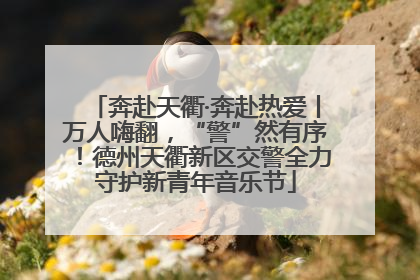 奔赴天衢·奔赴热爱丨万人嗨翻，“警”然有序！德州天衢新区交警全力守护新青年音乐节