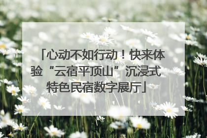 心动不如行动！快来体验“云宿平顶山”沉浸式特色民宿数字展厅