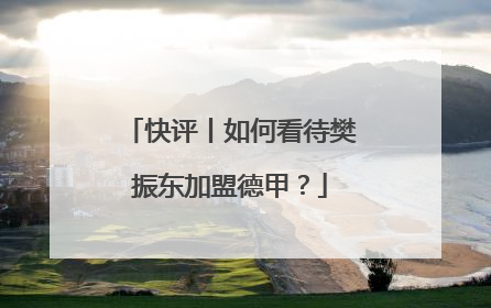 快评丨如何看待樊振东加盟德甲？