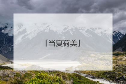 当夏荷美