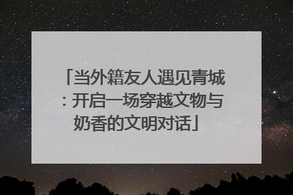 当外籍友人遇见青城：开启一场穿越文物与奶香的文明对话