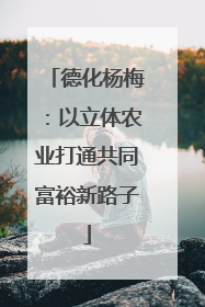 德化杨梅：以立体农业打通共同富裕新路子