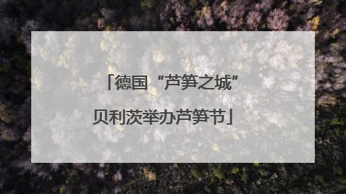 德国“芦笋之城”贝利茨举办芦笋节