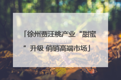 徐州贾汪桃产业“甜蜜”升级 俏销高端市场