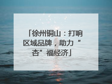 徐州铜山：打响区域品牌，助力“杏”福经济