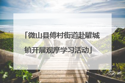微山县傅村街道赴驩城镇开展观摩学习活动