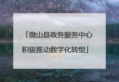微山县政务服务中心积极推动数字化转型