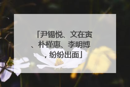尹锡悦、文在寅、朴槿惠、李明博，纷纷出面