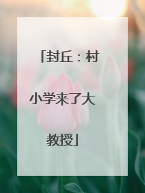 封丘：村小学来了大教授