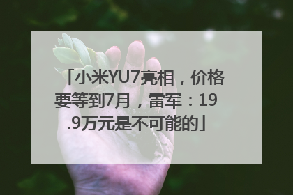 小米YU7亮相，价格要等到7月，雷军：19.9万元是不可能的
