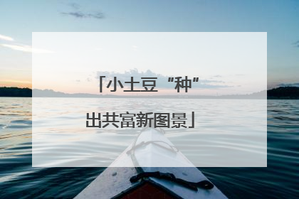 小土豆“种”出共富新图景
