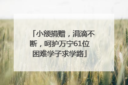 小额捐赠，涓滴不断，呵护万宁61位困难学子求学路