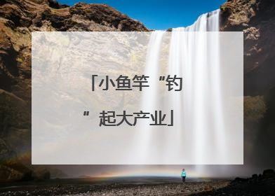 小鱼竿“钓”起大产业